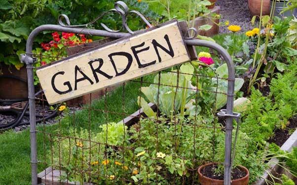 Gardening vocabularies and phrases